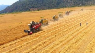 Tarımsal girdi enflasyonu eylülde yüzde 2,63 arttı