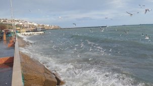 Tekirdağ’da şiddetli lodos deniz trafiğini aksattı! Dev dalgalar kıyıyı dövüyor