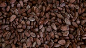 Üretim düşünce kakao fiyatları 45 yılın zirvesine çıktı