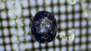 Uzaylılar mı yaptı? Okyanusun dibinde keşfedilen gizemli metal kürelerin ne olduğu ortaya çıktı