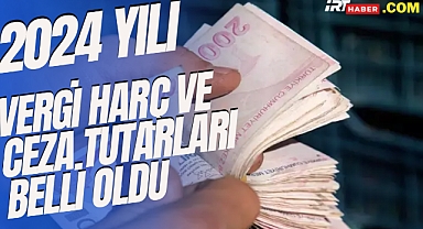 Yeniden Değerleme Oranı Açıklandı: İşte 2024 Yılı Yeni Vergi, Harç ve Cezalar