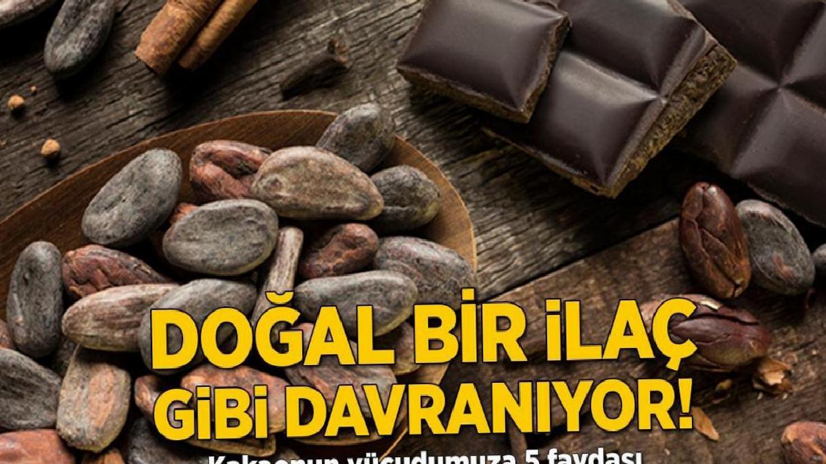 Doğal bir ilaç gibi davranıyor! Kakaonun vücudumuza 5 faydası
