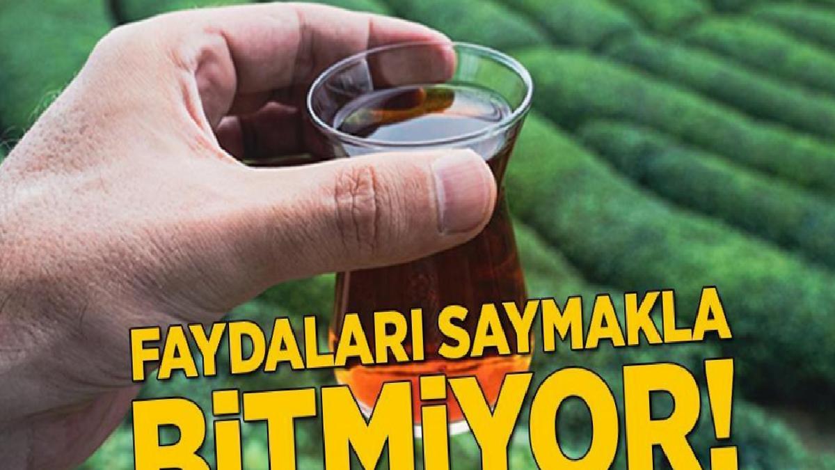 Faydaları saymakla bitmiyor! Günde 4 bardak çay içerseniz bunlar oluyor
