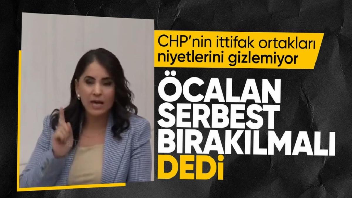 HDP'li vekilden TBMM'de Öcalan'a övgü