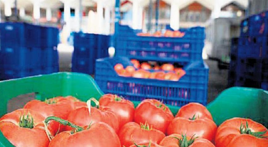 ‘İsrail tohumuna bağımlı değiliz’