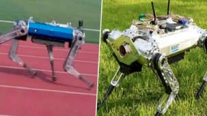 100 metreyi 19.87 saniyede koştu: Güney Koreli robot Guinness Rekorlar Kitabı'na girdi