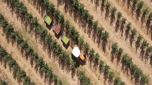 AB'den Türkiye'ye 555 milyon euro tarımsal destek