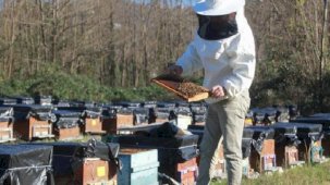 Arıcılar yeni sezona hazırlanıyor