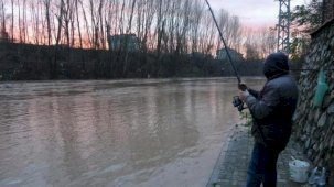 Bartın'da şoke eden görüntü! Asfaltta balık avladı
