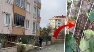 Büyükçekmece'de el bombası alarmı! Binanın önünde bulundu