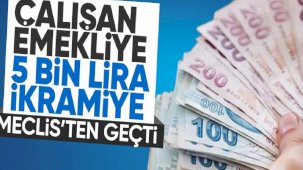 Çalışan emekliye 5 bin TL ikramiye yasalaştı