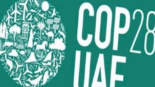 COP 28: Başarı mı, hayal kırıklığı mı?