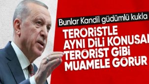 Cumhurbaşkanı Erdoğan: Kandil güdümlü kuklalardan insani bir duruş beklenemez