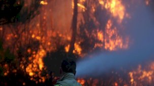 Dünyanın 2023 yılındaki büyük mücadelesi: Orman yangınları