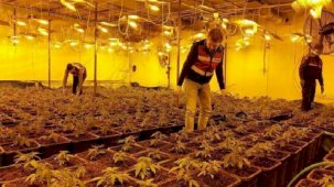 Fabrikaya giren ekipler şoke oldu! Patron ve bekçiyi tutuklatan manzara