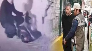 Fatih'te sırt çantasıyla götürdüğü kedileri öldürdüğü iddia edilen sanık hakkında flaş karar