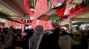 Filistin destekçileri, Noel alışverişini aksattı