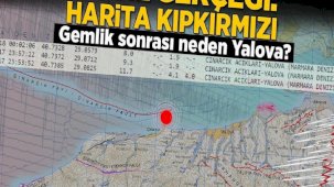 Gemlik'ten sonra neden Yalova'da deprem oldu? 20 yıl gerçeği: 'Harita kıpkırmızı'