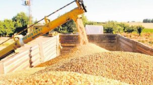 Hububatta 2024 ihracat hedefi 15 milyar dolar