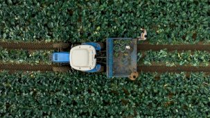 İbrahim Yumaklı: Tarımsal destekleme ödemeleri çiftçilerimizin hesaplarına aktarılıyor