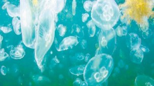 İleri arıtmaya geçiliyor