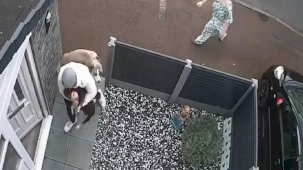 İngiltere'de korku dolu anlar: Saldırgan köpeğin elinden zor kurtuldu