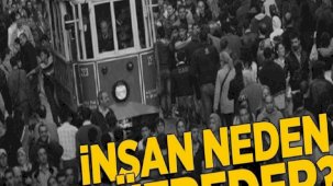 İnsan neden küfreder? Araştırmadan çıkan en ilginç sonuç