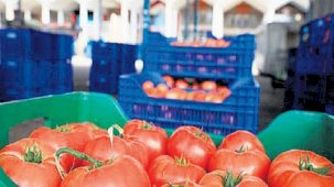 ‘İsrail tohumuna bağımlı değiliz’