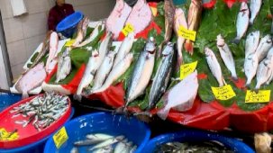 İstanbul'da balık fiyatları geriledi