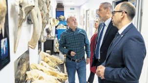 İstanbul’da filler bizonlar dolaşırdı