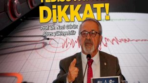 Kelkit'teki depremlerin ardından Prof. Dr. Naci Görür Yedisu Fayı'na dikkat çekti
