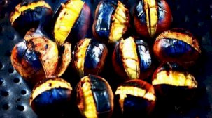 Kestaneyle 'yem'lediler! Alarm verildi: Ayırt etmesi çok zor...