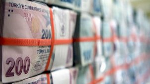 Netleşti! 2024 Yılı Merkezi Yönetim Bütçe Kanunu, Resmi Gazete'de