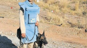 Sınırda 3 yılda 50 bin kara mayını temizlendi