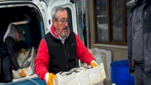 Sinop'ta tezgahlarda balık bolluğu yaşanıyor! Deniz suyu sıcaklığı düştü avcılık arttı