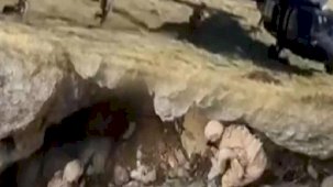 Son dakika... Bakan Yerlikaya duyurdu: 10 ilde teröristlere ağır darbe