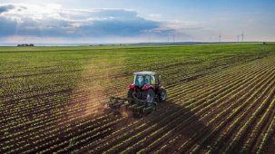 Tarım-ÜFE artış gösterdi