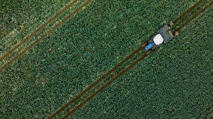 Tarım üretici enflasyonu kasımda geriledi