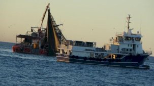 Trabzonlu balıkçıların rotası Gürcistan! Yeni balık avı başlıyor