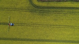 Türkiye, 19 tarım ürünü üretiminde dünyada ilk 4'te