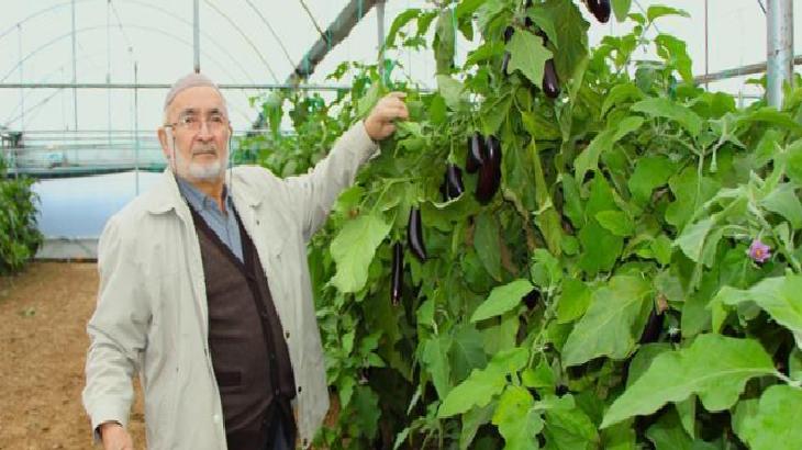 Yazın kilosu 5 liraydı, şimdi 17 liradan satıyor