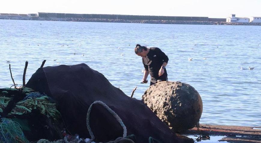 Balıkçıların ağına takıldı! İstanbul'dan özel ekip yola çıktı