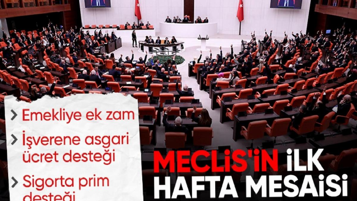 Emekliye zam bu hafta Meclis Genel Kurulu'nda görüşülecek