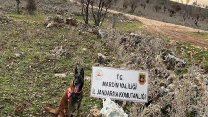 Mardin'de bombalı tuzak