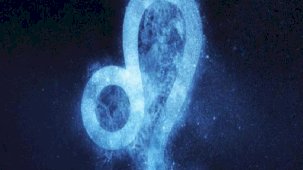 25 Ocak 2024 Aslan dolunayı: Başlangıçlar ile bitişler iç içe