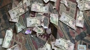 ABD'de çiftin 4 bin dolarını köpek yedi: Parayı dışkısında aradılar