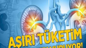 Aşırı tüketim böbrekleri vuruyor! Fazlası böbreklere zarar veren 7 gıda