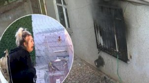 Bahçelievler'de yangın paniği! Kuşlarını ve köpeğini alıp kendilerini sokağa attılar