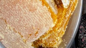 Bal rekoltesi geçen yıla göre düşük kaldı