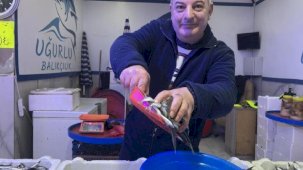 Balık çeşitliliği tezgahları süslüyor! Hamsi zirveyi kaptırmak üzere